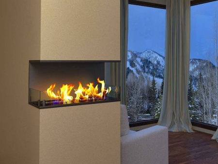 Встраиваемый Биокамин торцевой ZeFire Standart 500 по цене 29 800 руб.